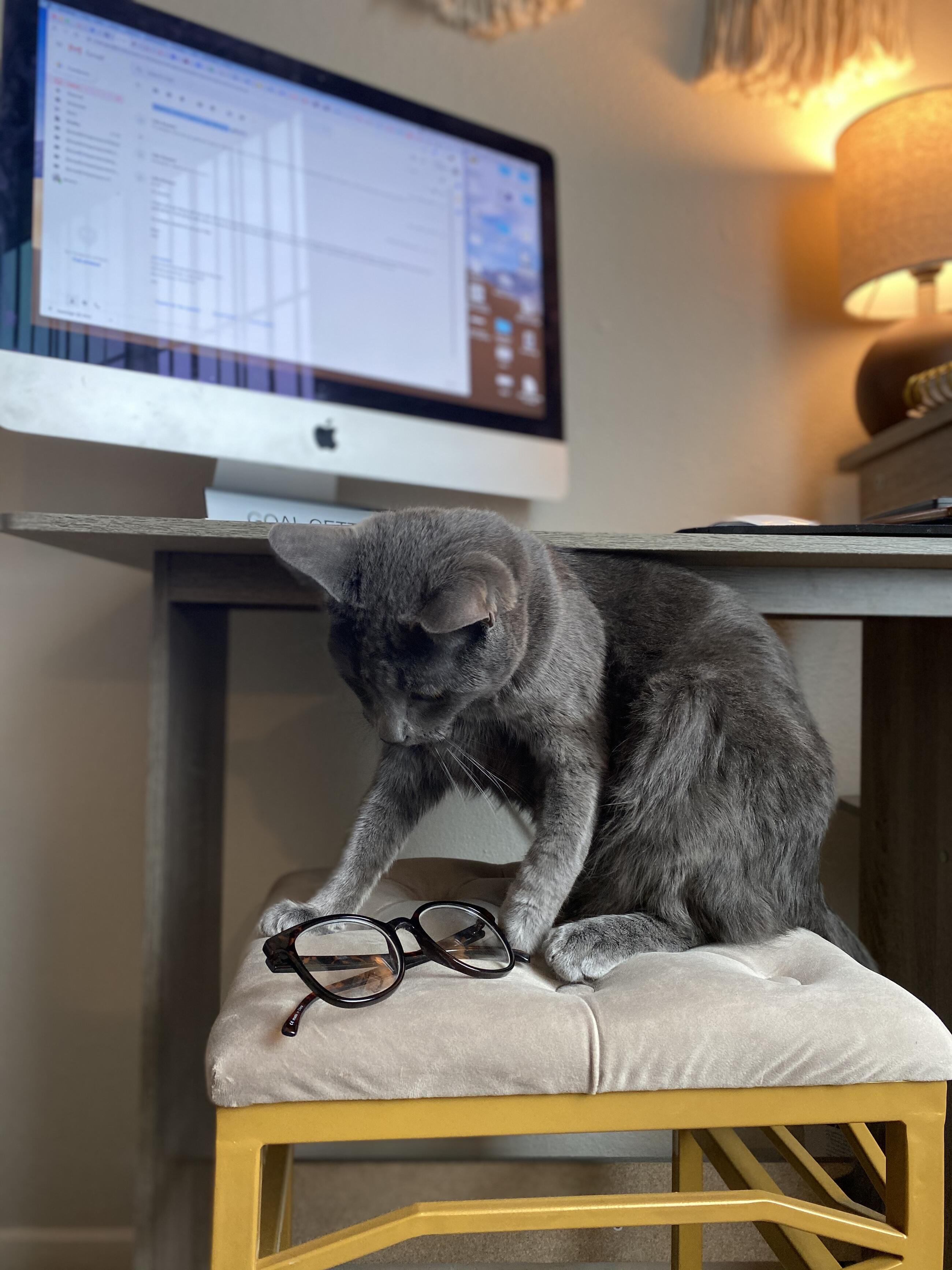 Plomo by Jimena Trigueros