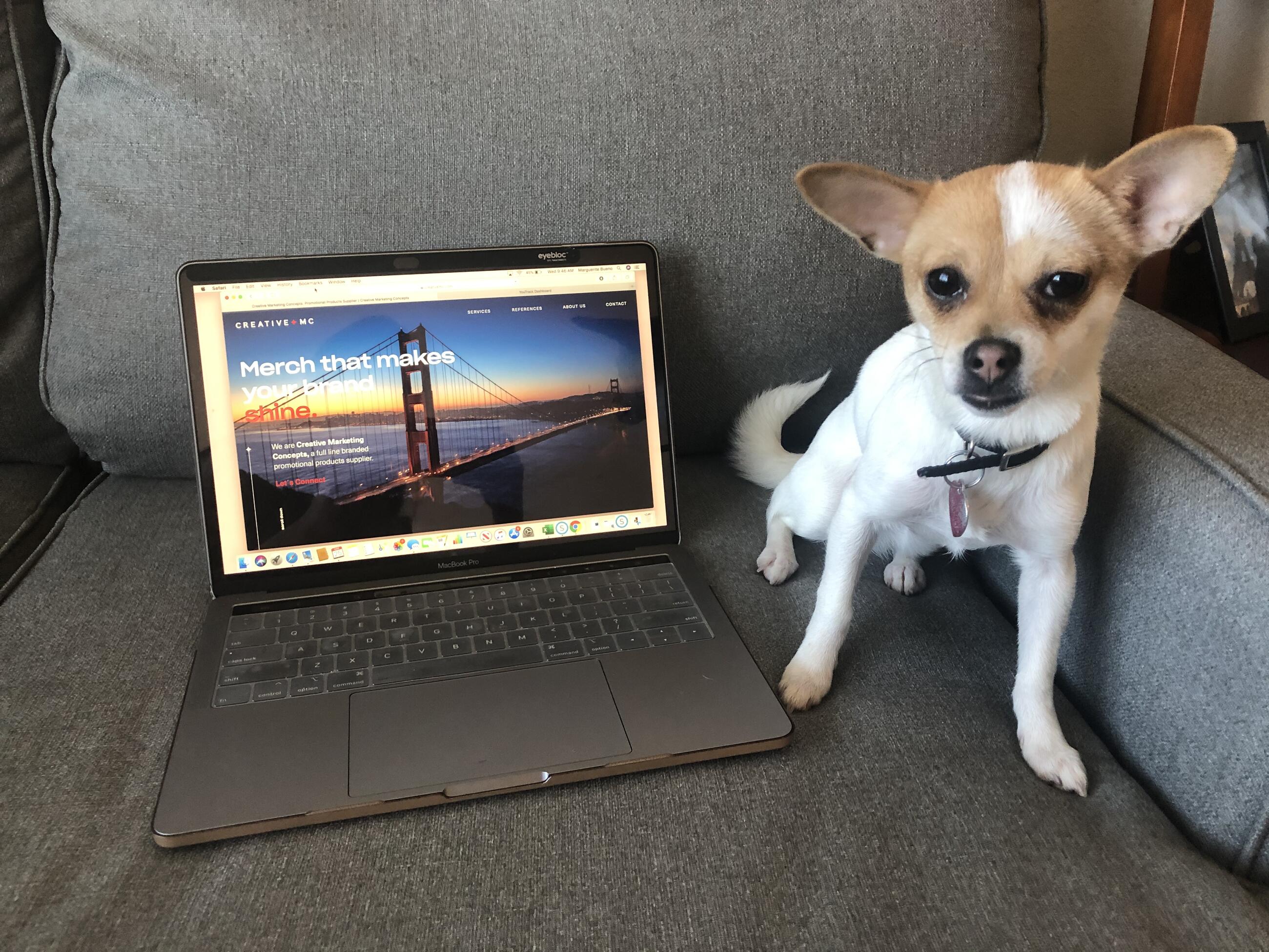 Meiko by Marguerite Bueno