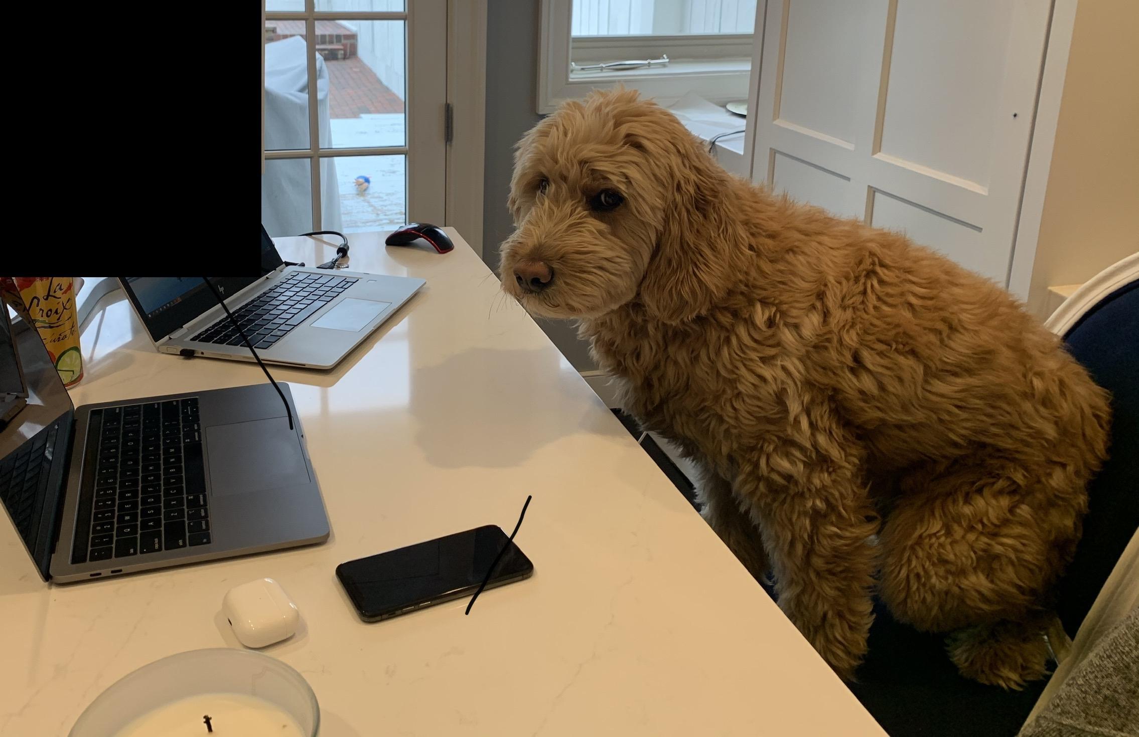 Winston by Harold Olson