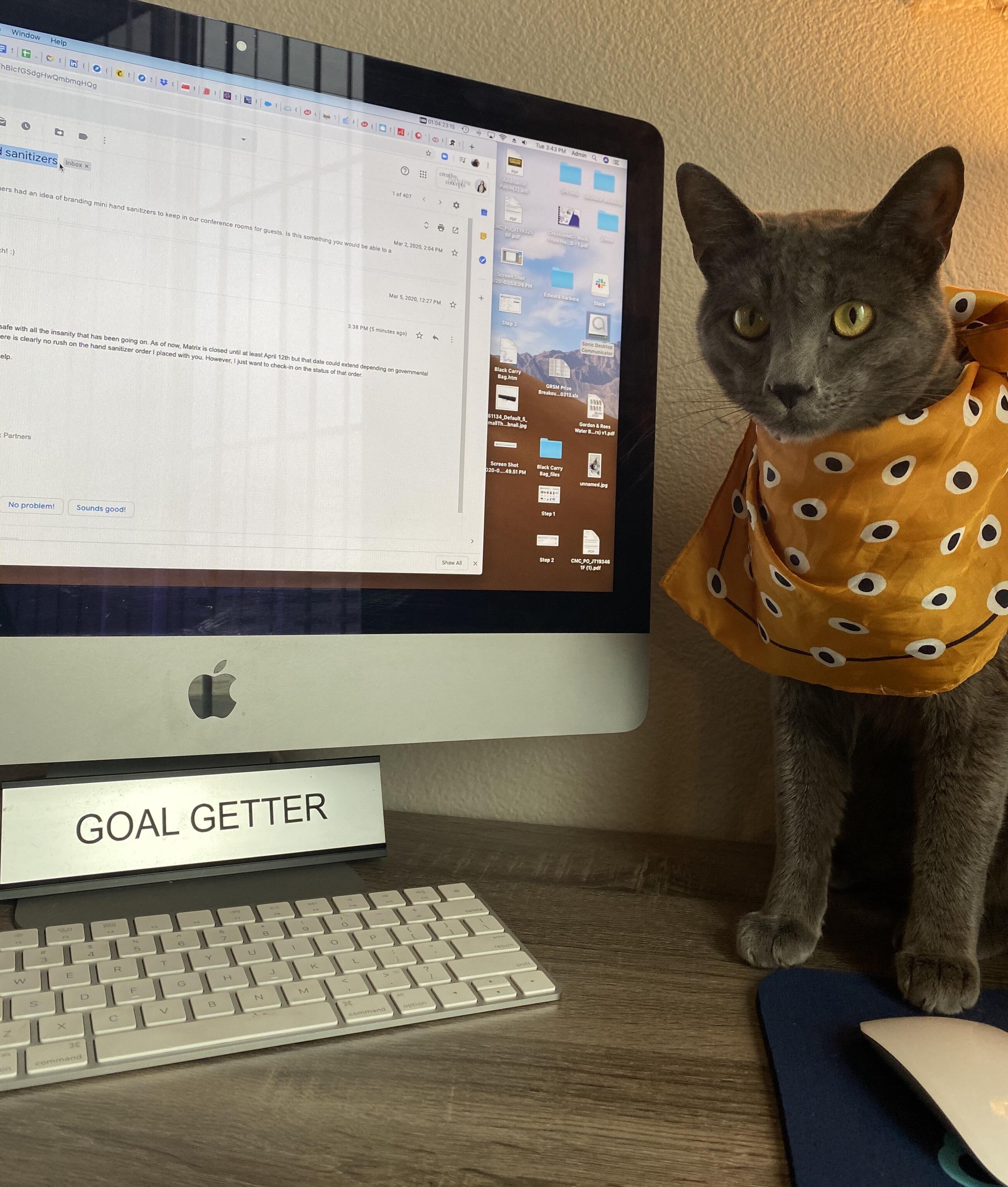 Plomo by Jimena Trigueros