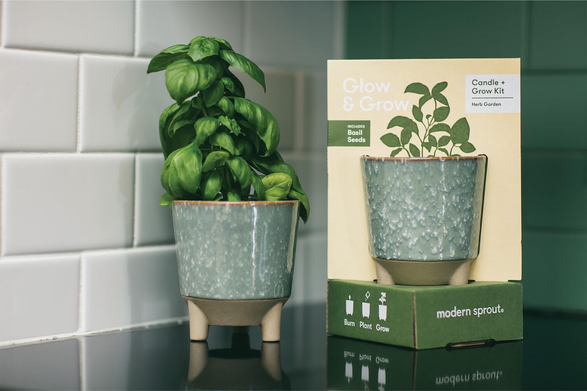 Modern Sprout Live Set