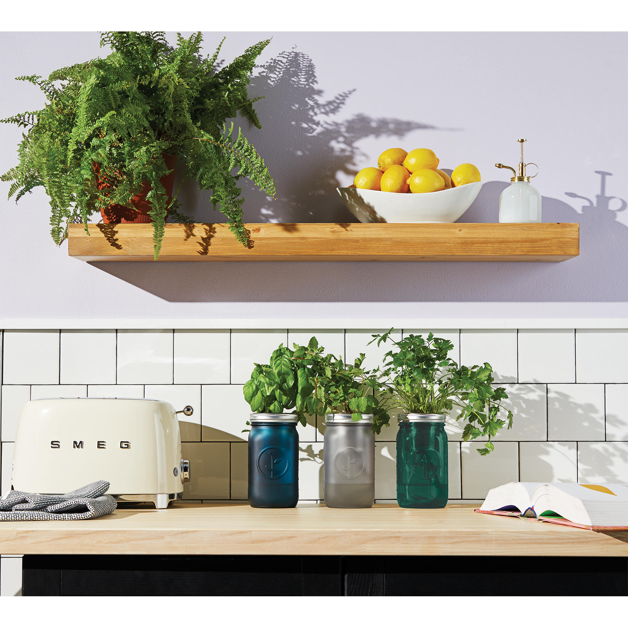 Modern Sprout Indoor Herb Garden Kit