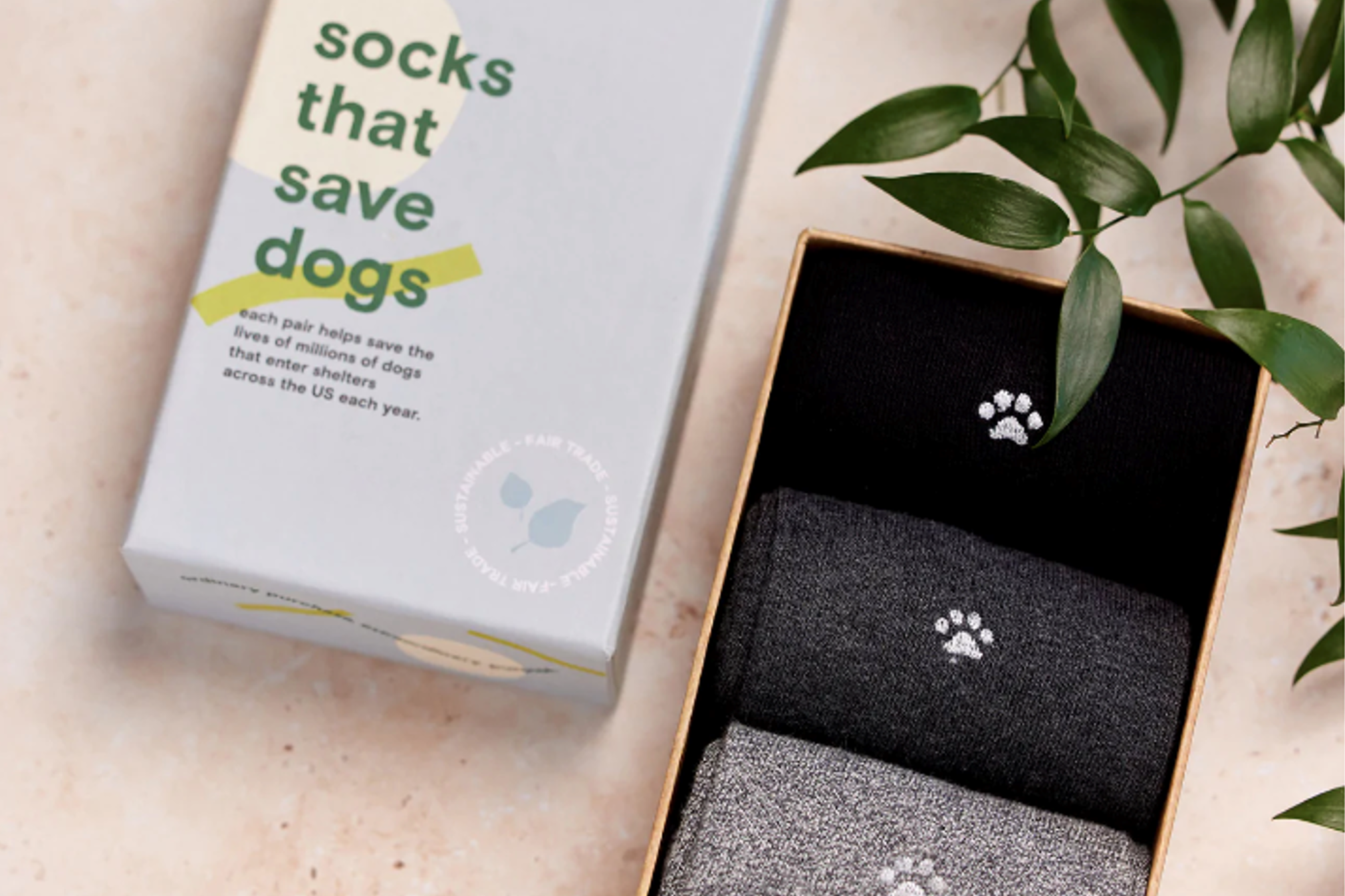 Conscious step socks that save dogs