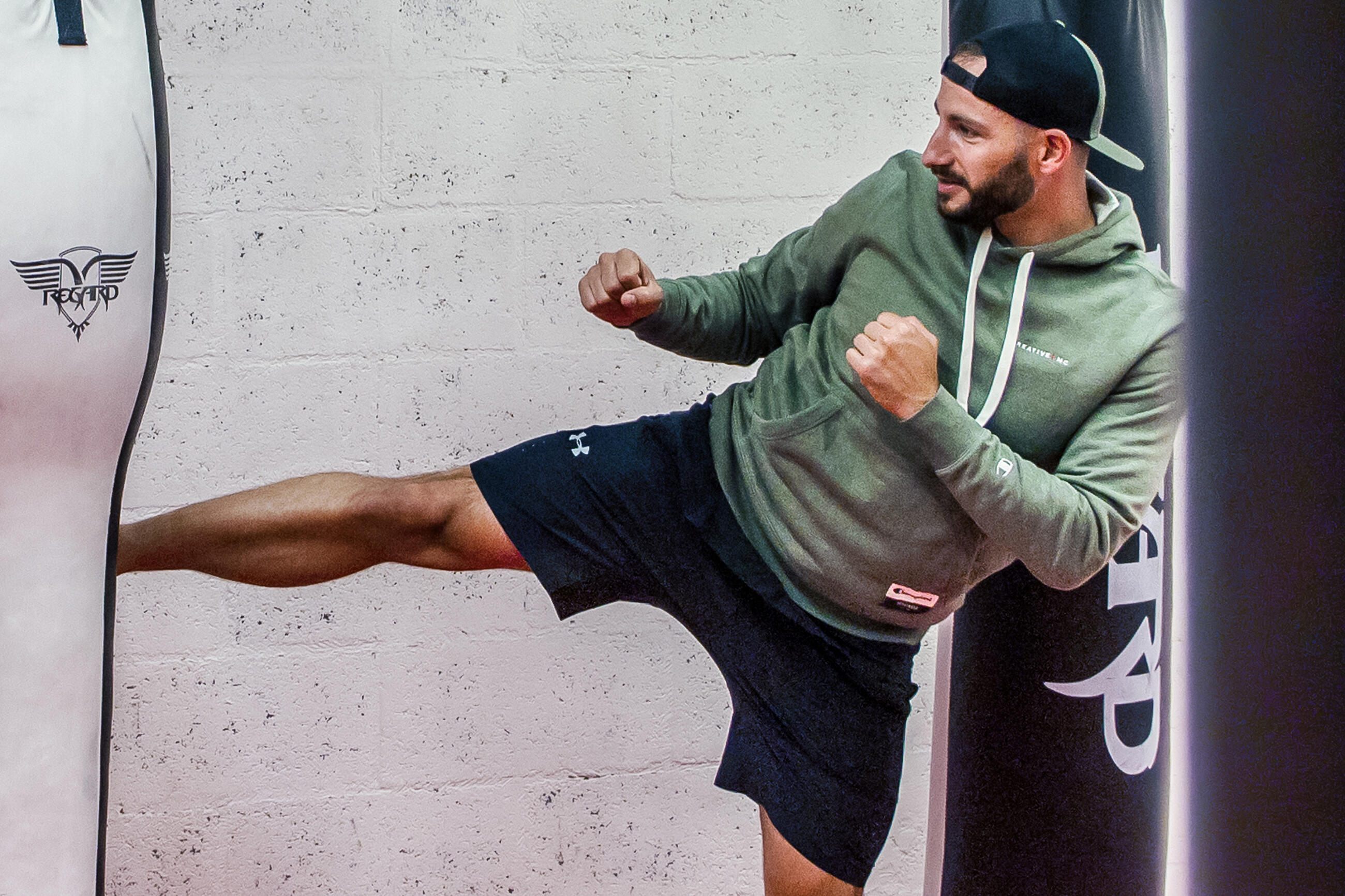 Comfort creatures of the home office