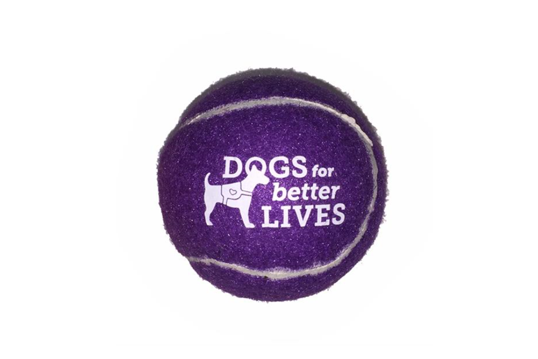 Pet Fetch Toy Tennis Ball