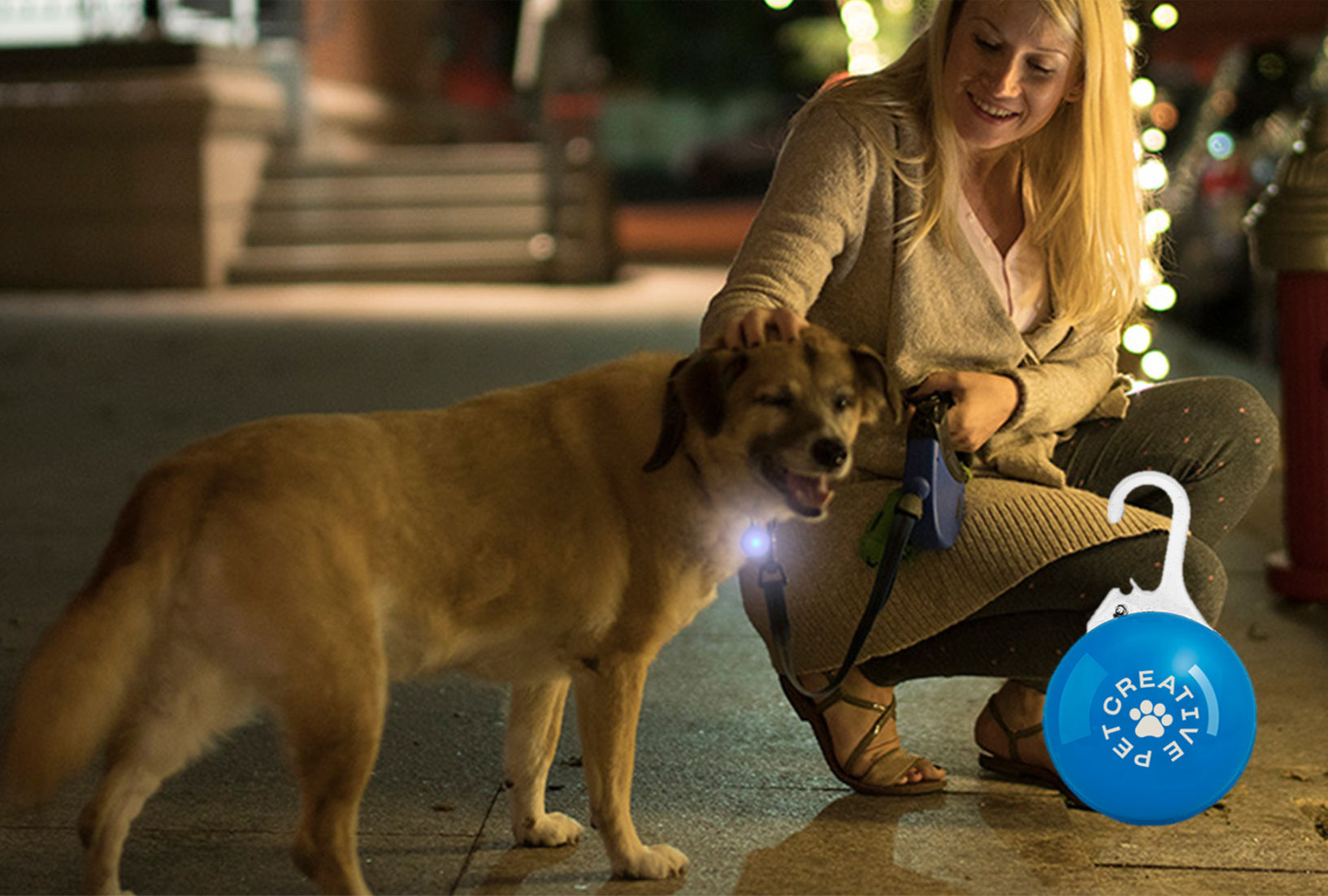 LED Clip-On Pet Safety Light