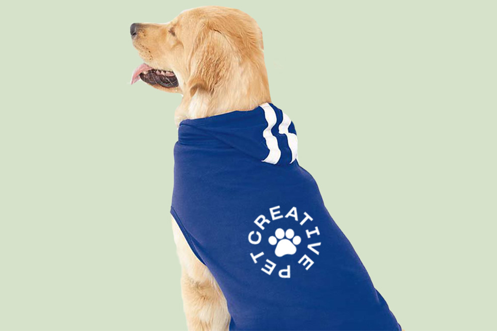 Doggie GameDay Hoodie