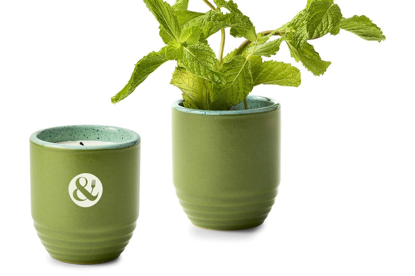 Modern Sprout Candle & Planter