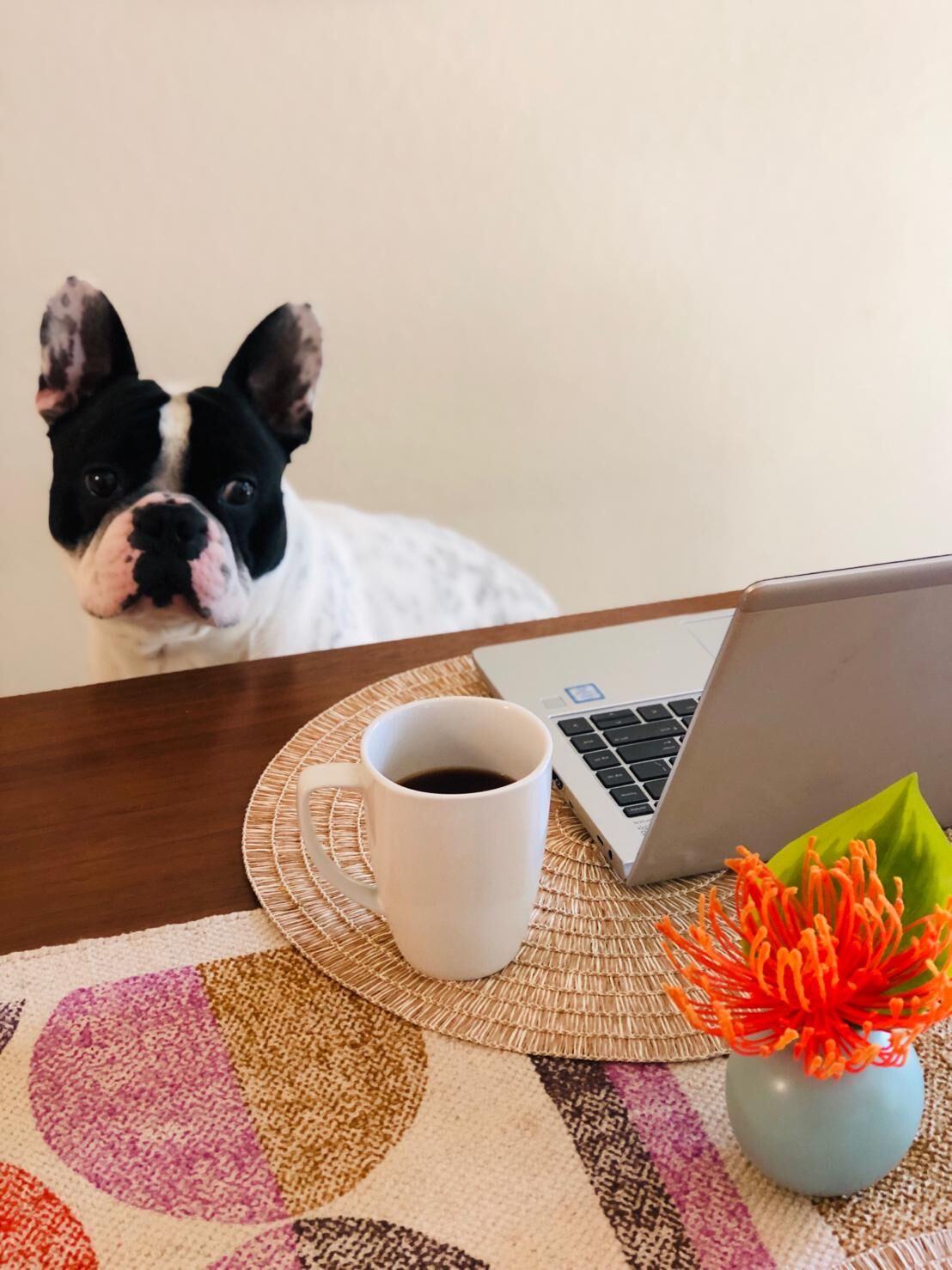 Thor by Genevieve Oransky