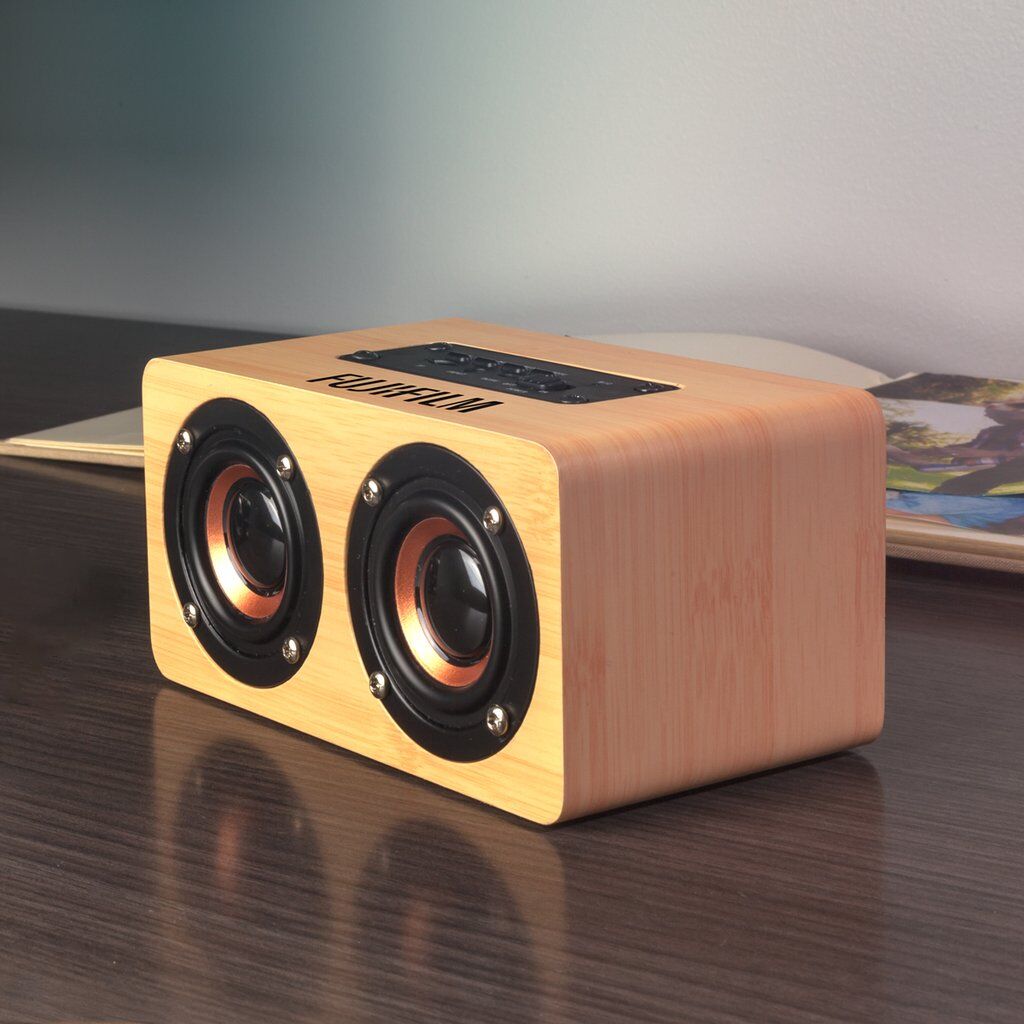 Double Dip Speaker