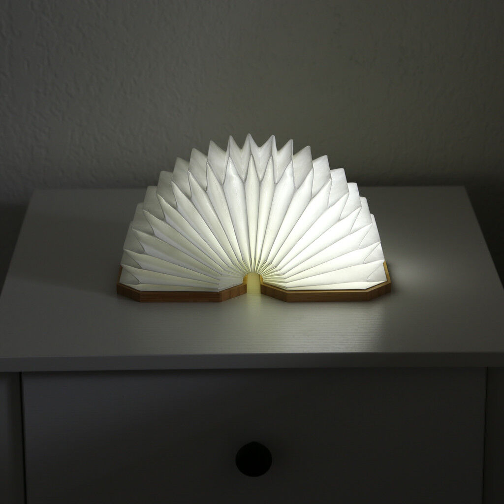 Accordio Adjustable Light