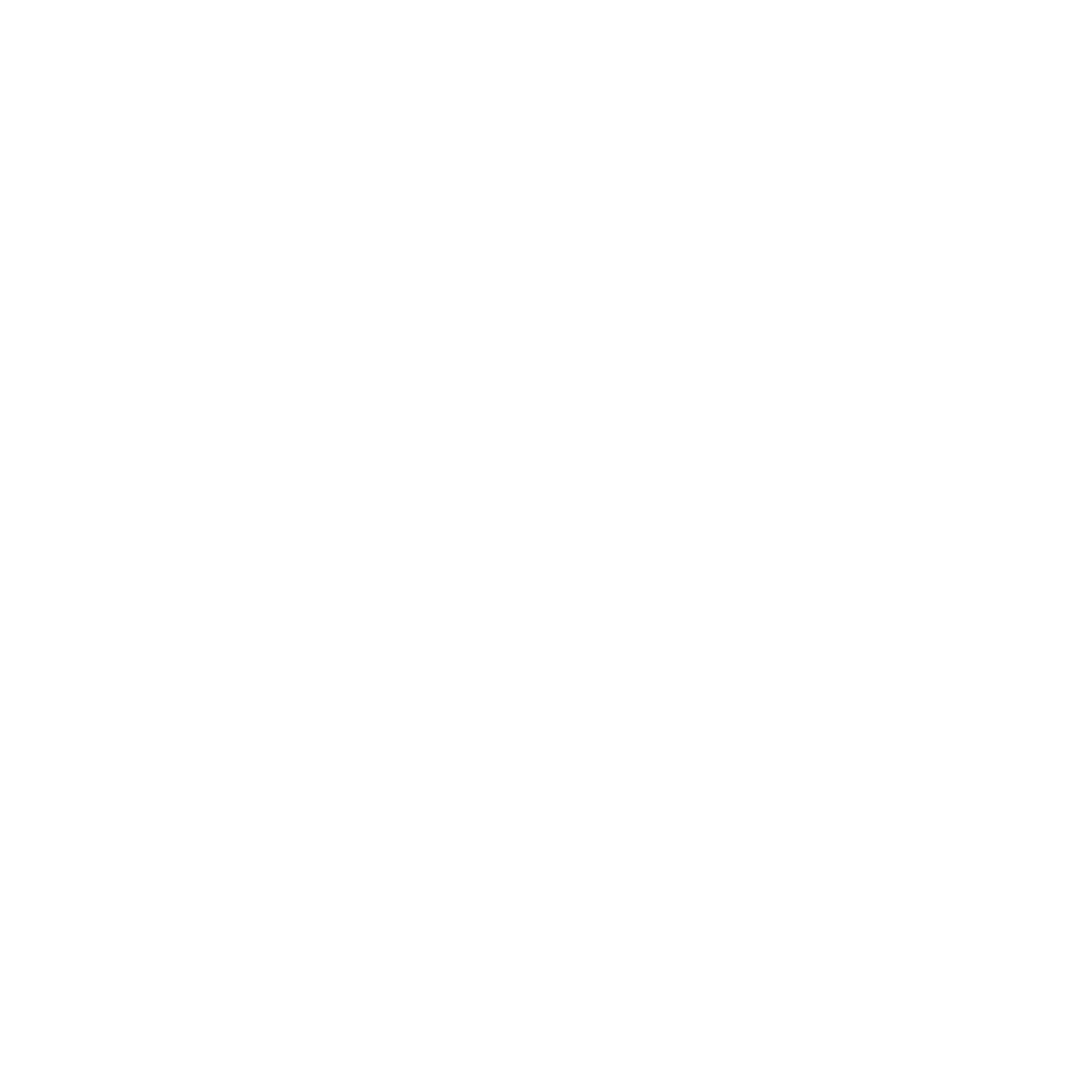 Travel & Accessories