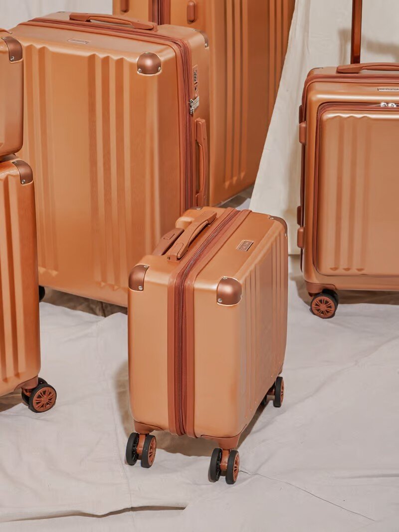 Calpak Carry-On Luggage