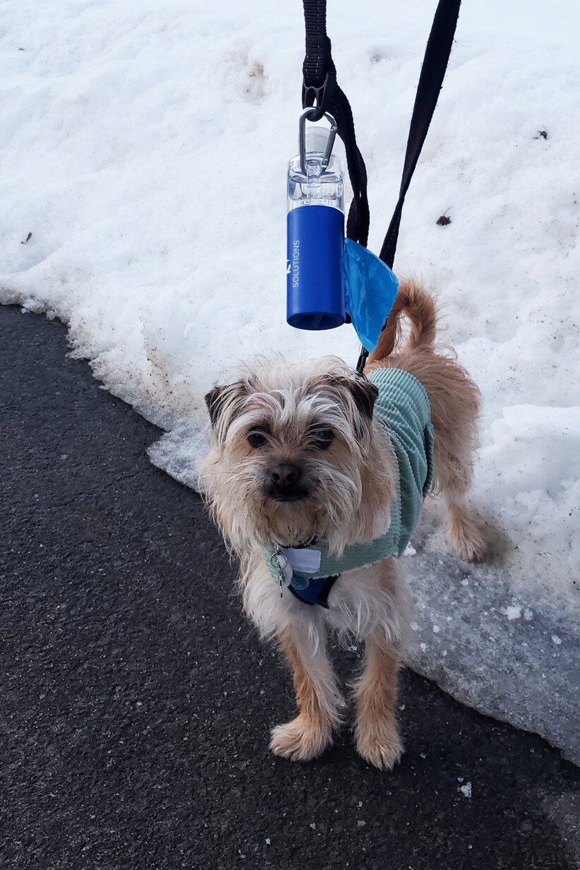 Woof Refillable Pet Waste Bag Dispenser with Hand Sanitizer