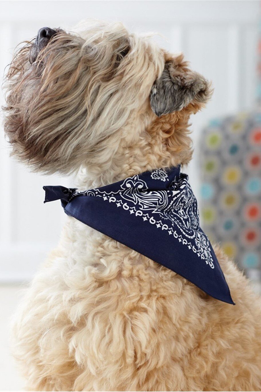 Doggie Bandanas