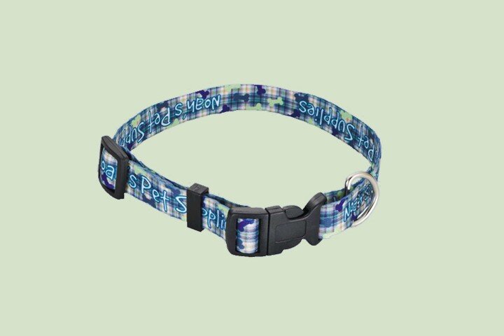 Full Color Pet Collar