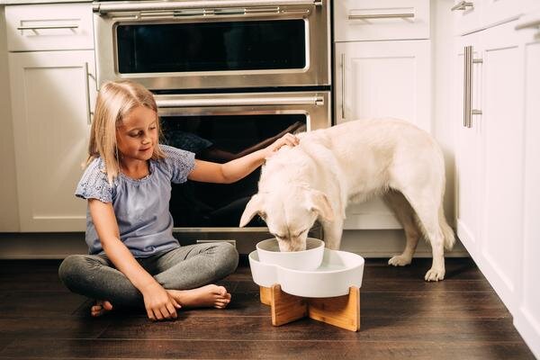 Highwave Dog Food Lagoon